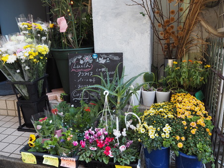 9-長崎市玉園町 花カフェ ガーデンコーヒーPB084159