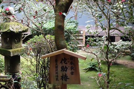 8-龍安寺DSC05634