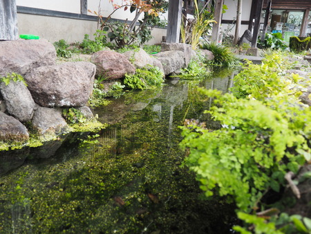 2023.01.14 島原市魚早川ギャラリーP1011405