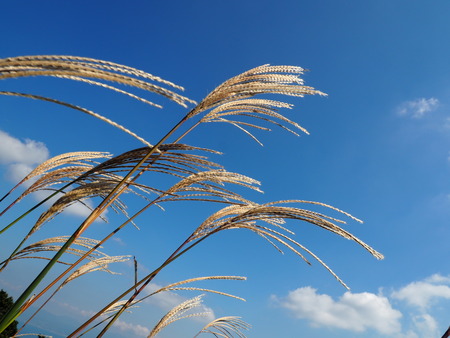 2022.10.28���׳��ֿ����PA232381