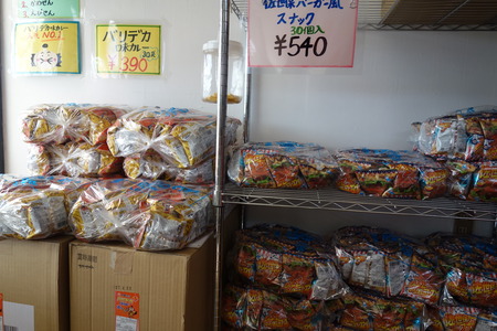£¹¡ÝÌ£¥«¥ì¡¼DSC08699