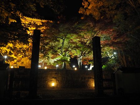 2021.11.17 ����Զ�ëĮ���¾���PB167121