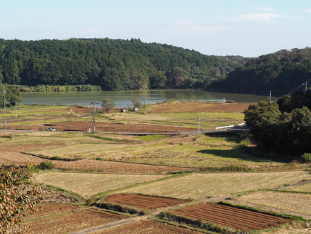 ����Ծ�Ĺ��Į�ĸ����ֶ����β�PB161387