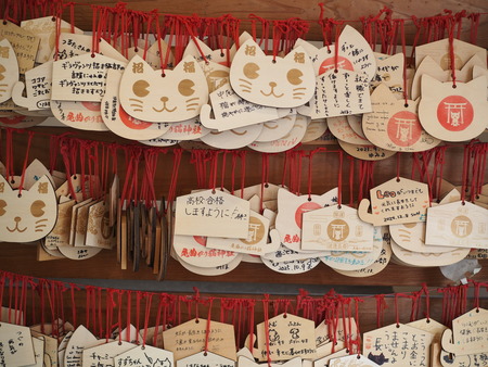 ���ʤ���ǭ����P1011521