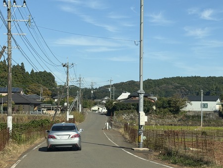 ����Ծ�Ĺ��Į�ĸ����ֶ����β�IMG_3575