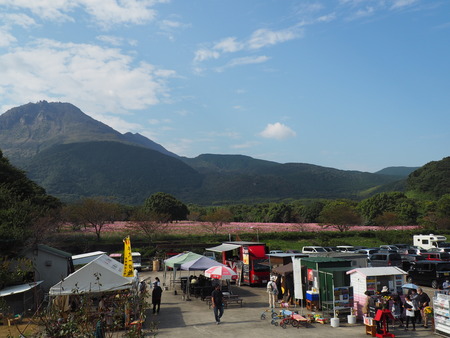 2022.10.22 島原市 火張山花公園PA221836