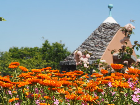 2023.04.22 長崎市琴海 ハッピーテラスP1015674