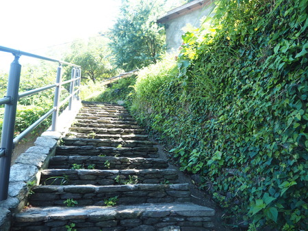 9-Ĺ��Բ�����Į�����ե���������å�P7284619