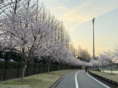 �������籿ư����IMG_5292