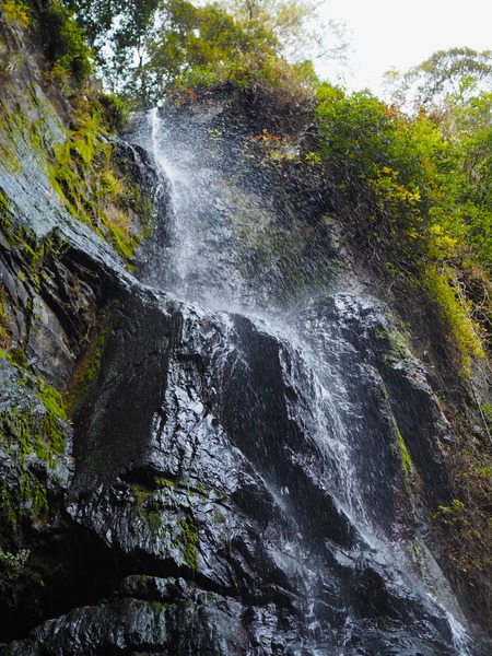 ��������PB261717