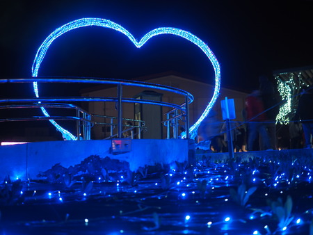 2024.11.30�������Ϥ�����ե��󥿥���PC010361