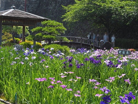 大村公園_1654264739