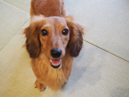 2022.06.04���ƥ��������󥰥ۡ���P6041400