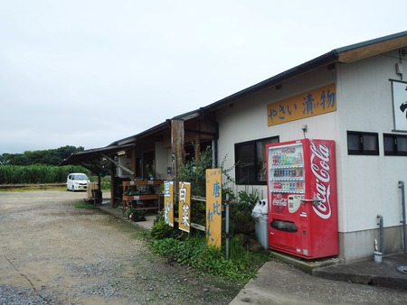 16-産地直売やさい村裏P7214055