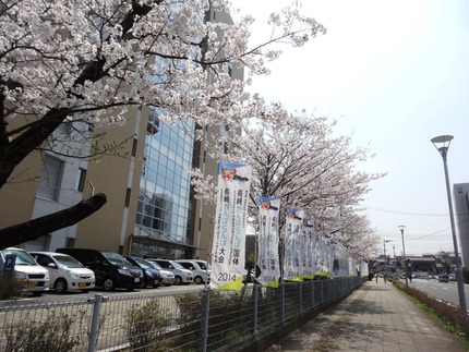 1-DSC08557