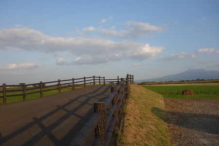 2-DSC00445