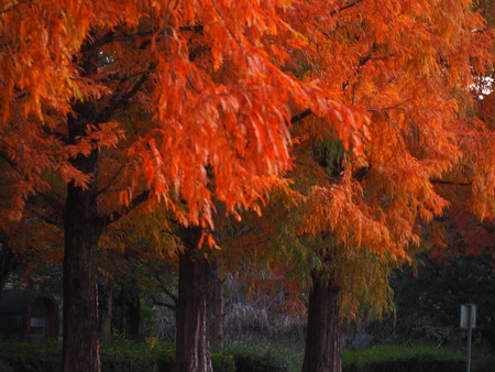 �ڻ���������PC021461