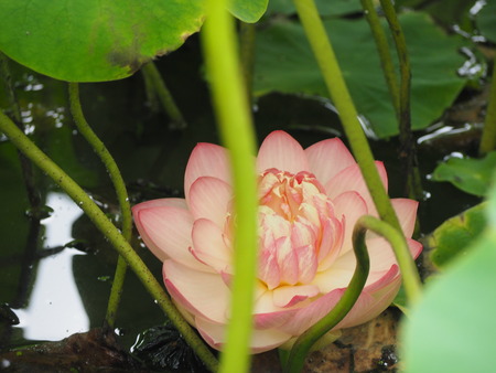 ����ϥ���P1012079