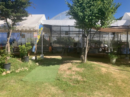 �ߥ��ե����भ���IMG_8364