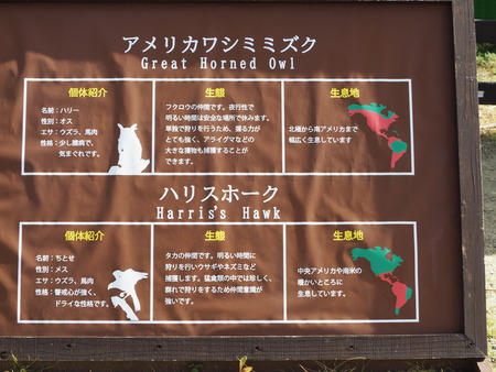 2021.11.14 �����ݻԡ��彽����ư��ʪ�ࡡ�������PB136203