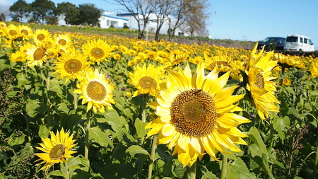 2-のんのこ温泉センターPC190346