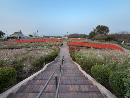 ͭ���ο��ե��ѡ���IMG_2014