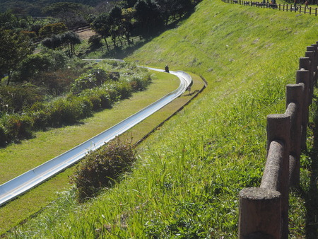 2023.10.22������Ծ�Ĺ��Į�����ʥե���PA211760