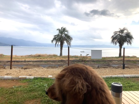 2024.12.17������ԡ����饳�����֥ӥ�å���������IMG_2535