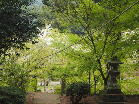 2023.04.01 雲仙市国見町 烏兎の杜P1011438