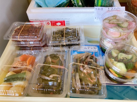 2023.09.22 ����Ծ�Ĺ��Į���ˤ����������IMG_1960