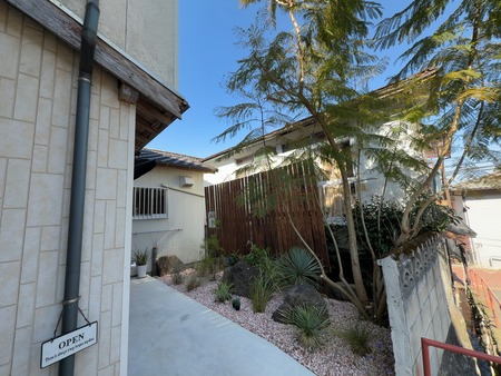 �����ä�������̴ۡ����Ͳ�����졡����IMG_1506