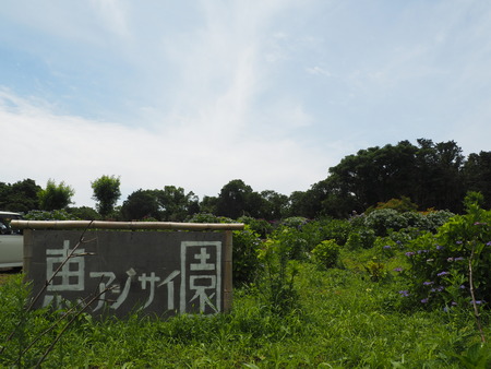 2023.06.10������Կ���Į���ä���������P1019741