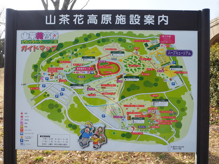 諫早市小長井町 山茶花高原P1161566