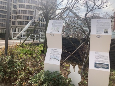 2024.03.24 ����ɽ�綶����IIMG_5947