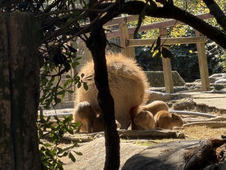 Ĺ��Х����ѡ��������ԥХ���֤����IMG_0588