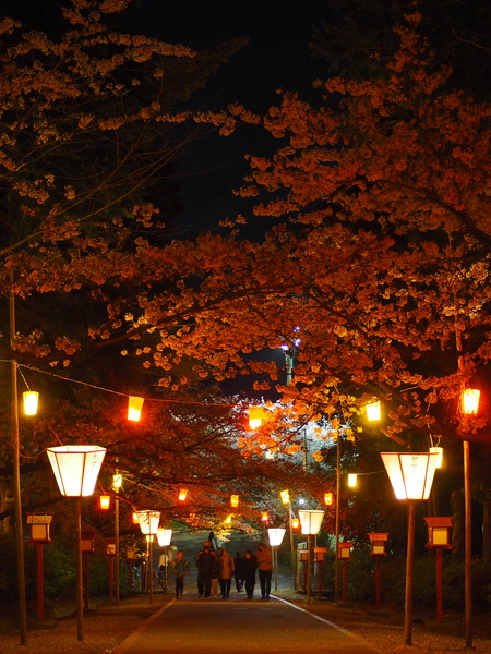 2023.04.01 雲仙市千々石町 橘神社P1011935
