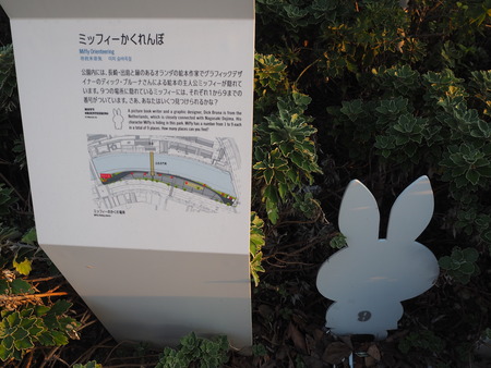 2-出島宵市P9148699