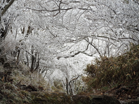 2022.12.03 ±ÀÀç¿ÎÅÄÆ½¡¢Ì¯¸«³Ù¡¡Ì¸É¹P1011641