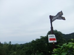 25-DSCF0535