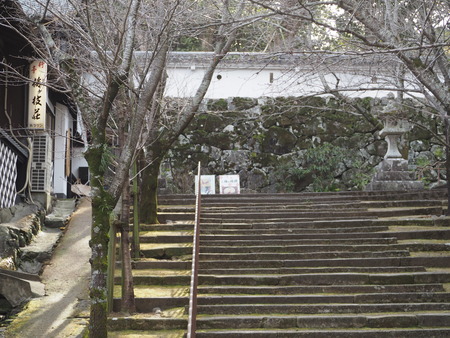 2023.03.05 大村市 梅ヶ枝荘P1012018