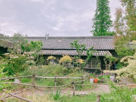 2022.04.30¡¡ÇȺ´¸«Æ«´ï¤Þ¤Ä¤ê¡¡À¾¤Î¸¶¥â¥ó¥Í¥Ý¥ë¥ÈIMG_6512