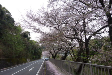 4-多良見町古川DSC05783