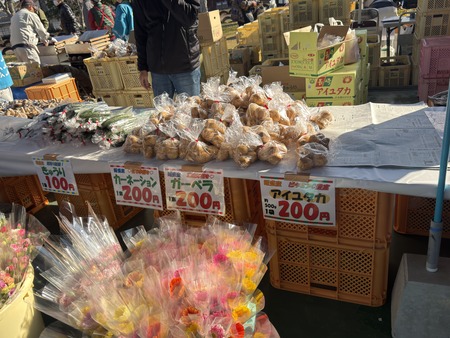 ëÝÁáÃÏÊýÇÀ¶È¤Þ¤Ä¤êin´³Âó¤ÎΤIMG_7645