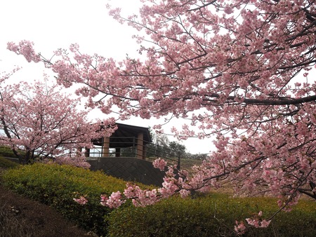 ����������β��ź�P2221390