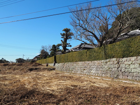 2023.02.04 雲仙市国見町神代DENKEN WEEKP1015724