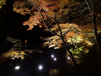 ���ݸ������ڱ�DSC09609