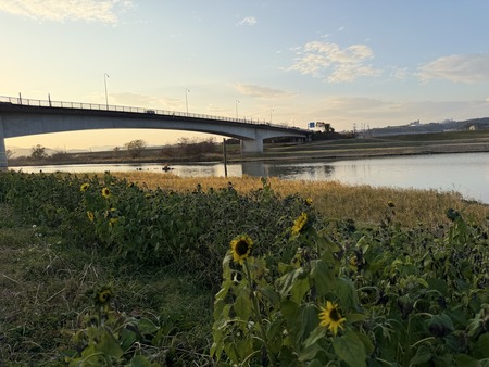 ���βж��Ҥޤ��IMG_8386