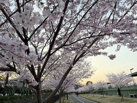 �������籿ư����IMG_5281