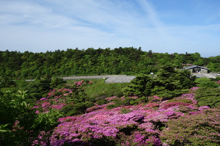 8-����ƽDSC00078