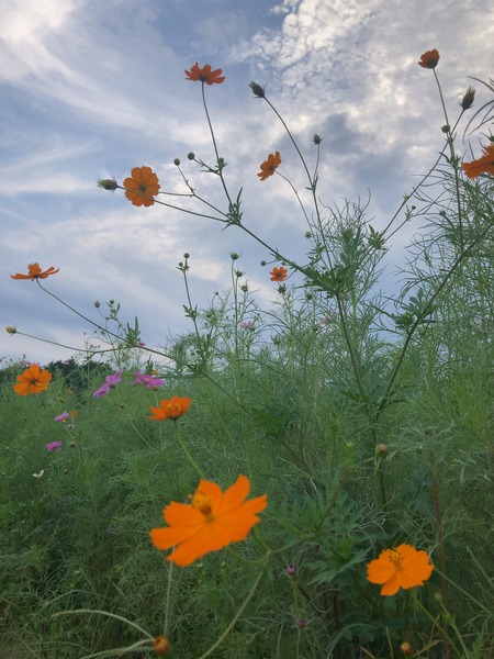 2023.09.30������ԡ��������⸶IMG_9933